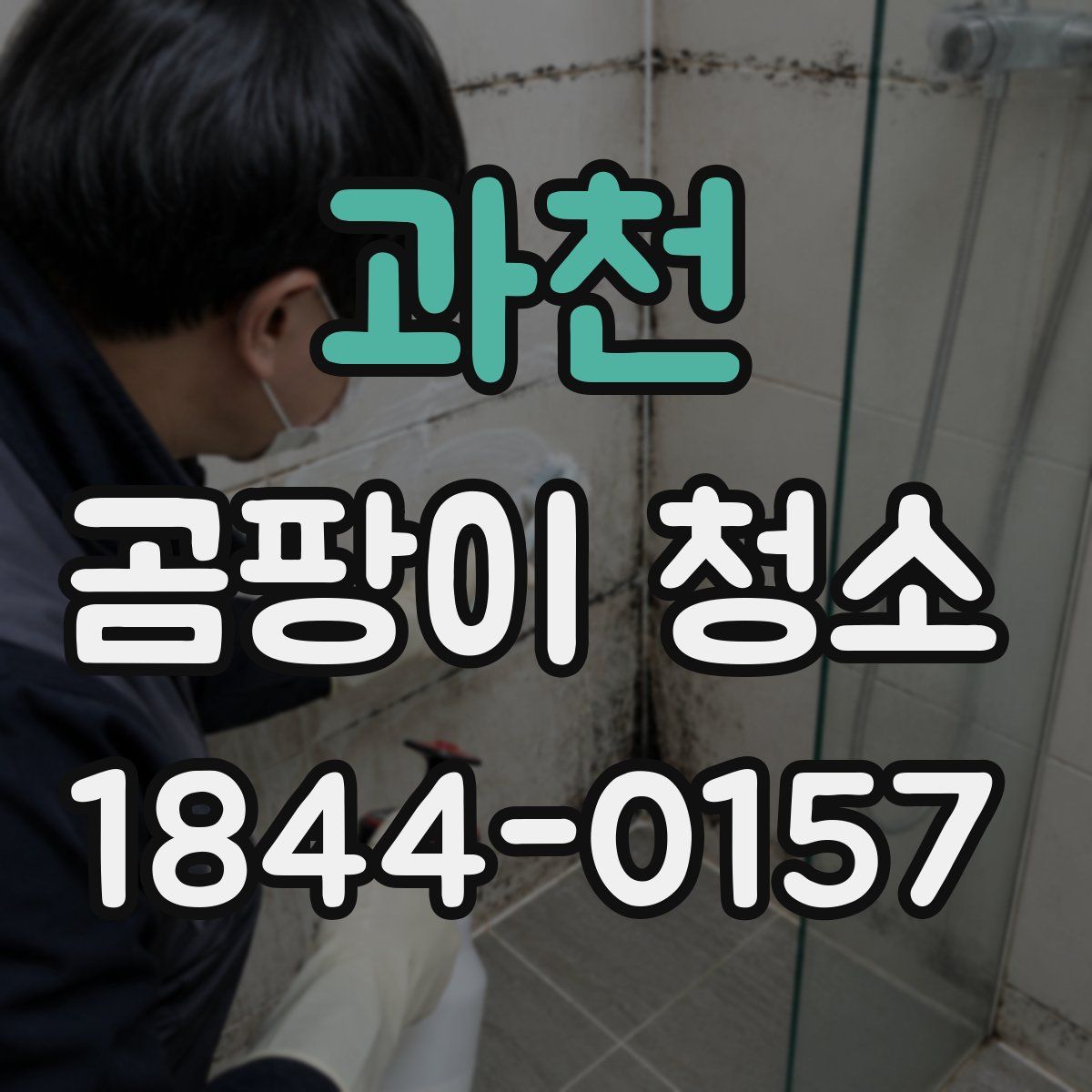 과천 곰팡이 청소