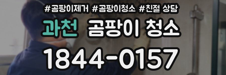 과천 곰팡이 청소