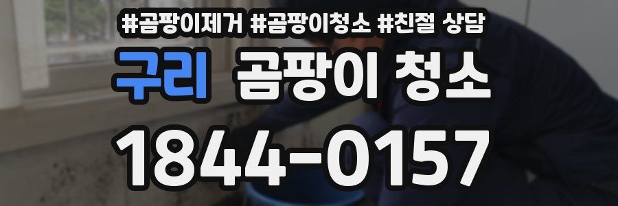구리 곰팡이 청소