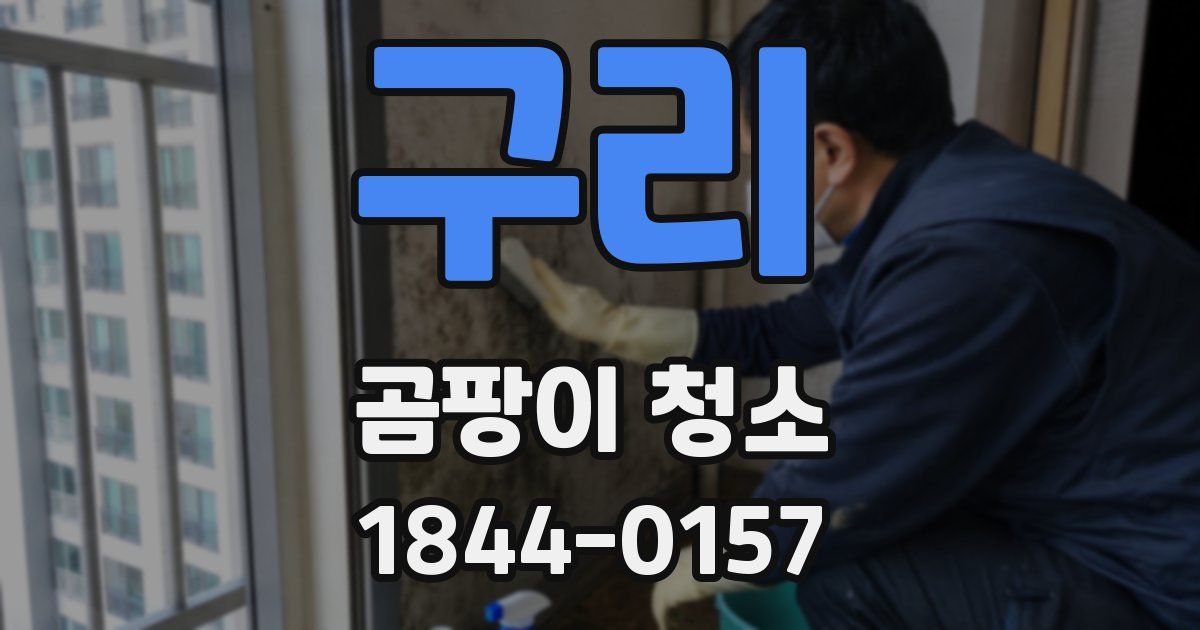 구리 곰팡이 청소