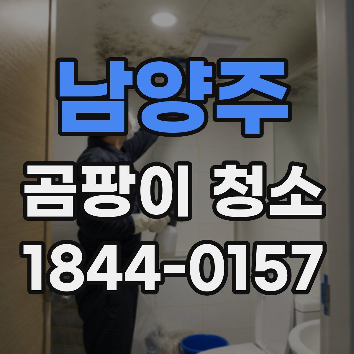 남양주 곰팡이 청소