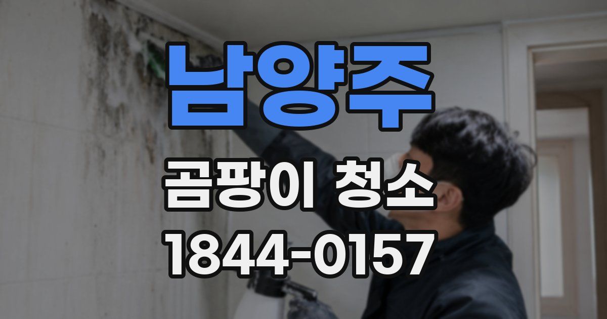 남양주 곰팡이 청소