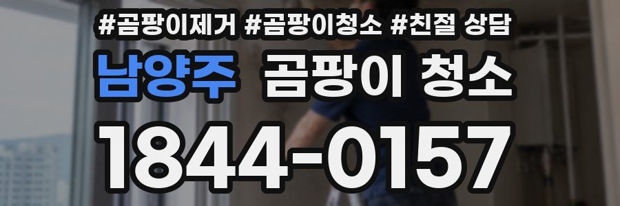 남양주 곰팡이 청소