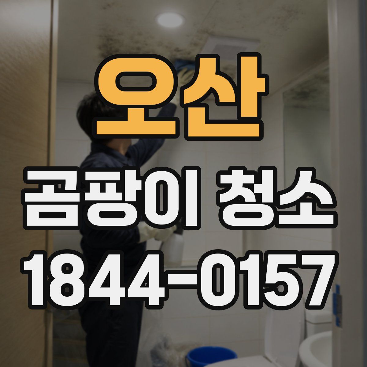 오산 곰팡이 청소
