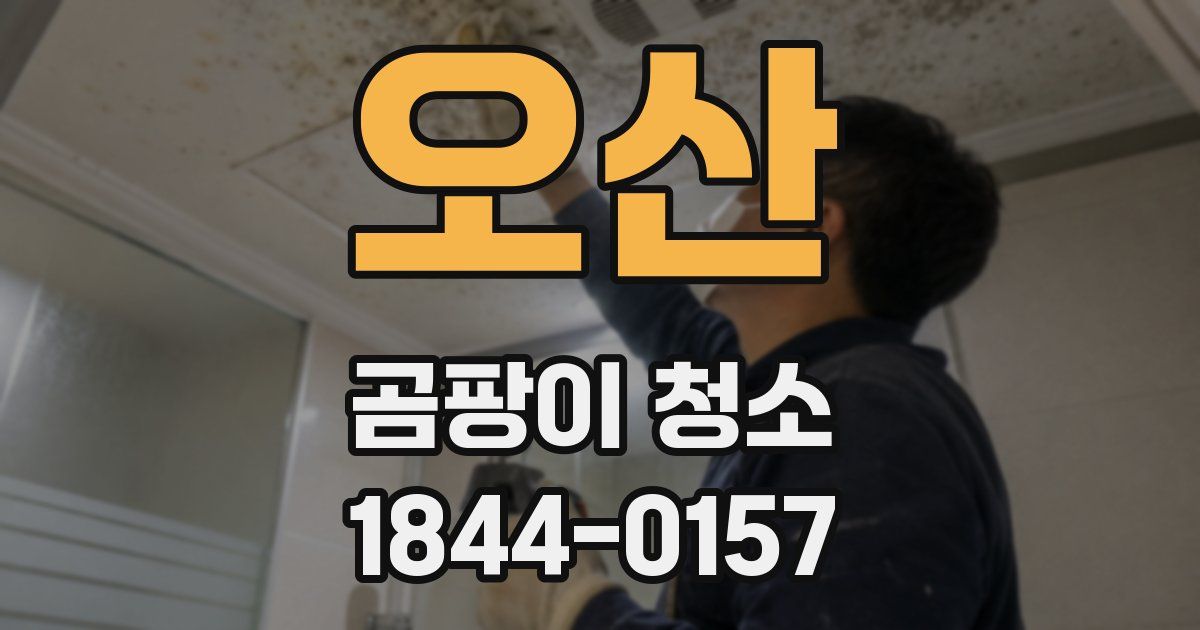 오산 곰팡이 청소