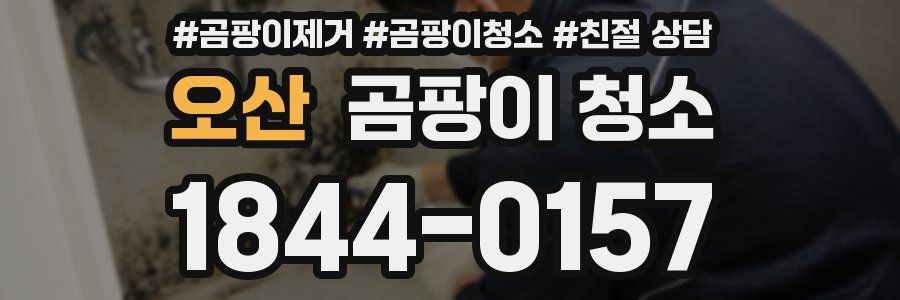 오산 곰팡이 청소