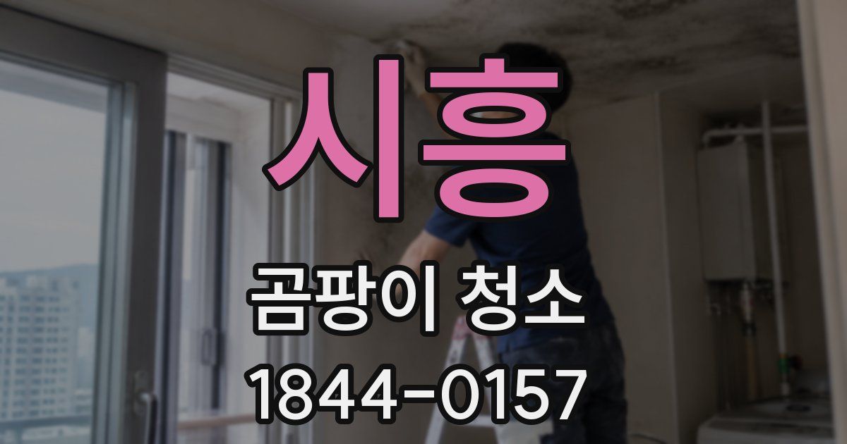 시흥 곰팡이 청소