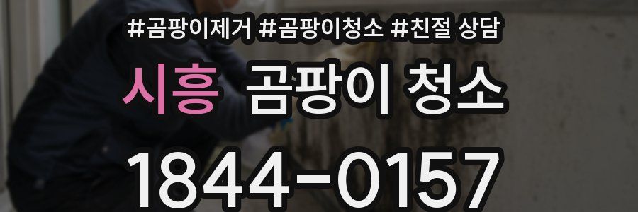 시흥 곰팡이 청소