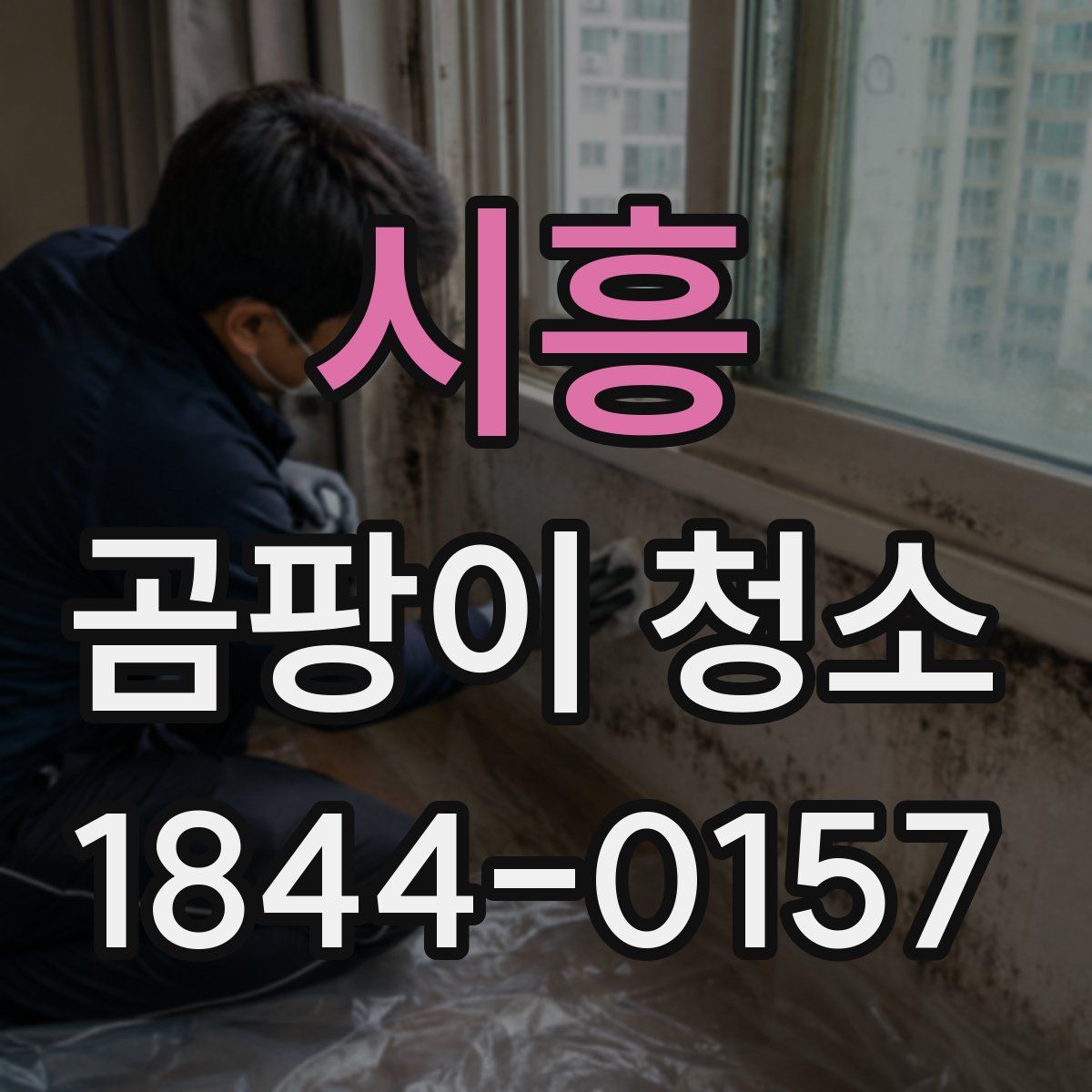 시흥 곰팡이 청소