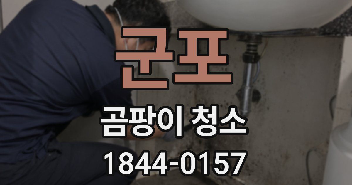 군포 곰팡이 청소