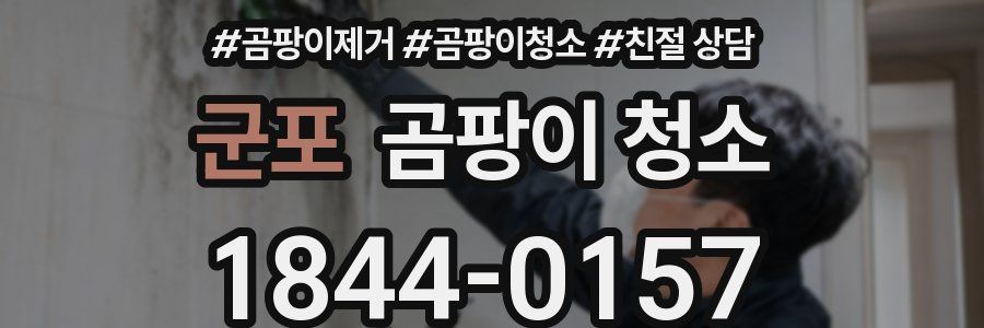 군포 곰팡이 청소