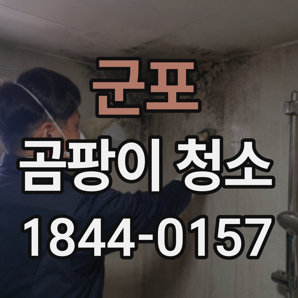 군포 곰팡이 청소