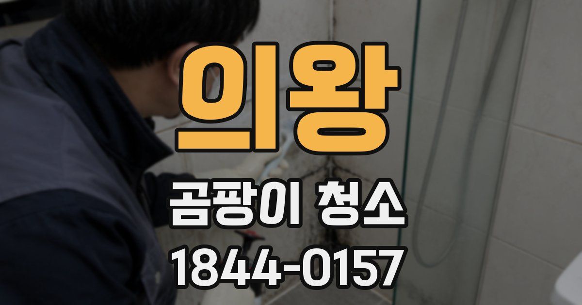 의왕 곰팡이 청소