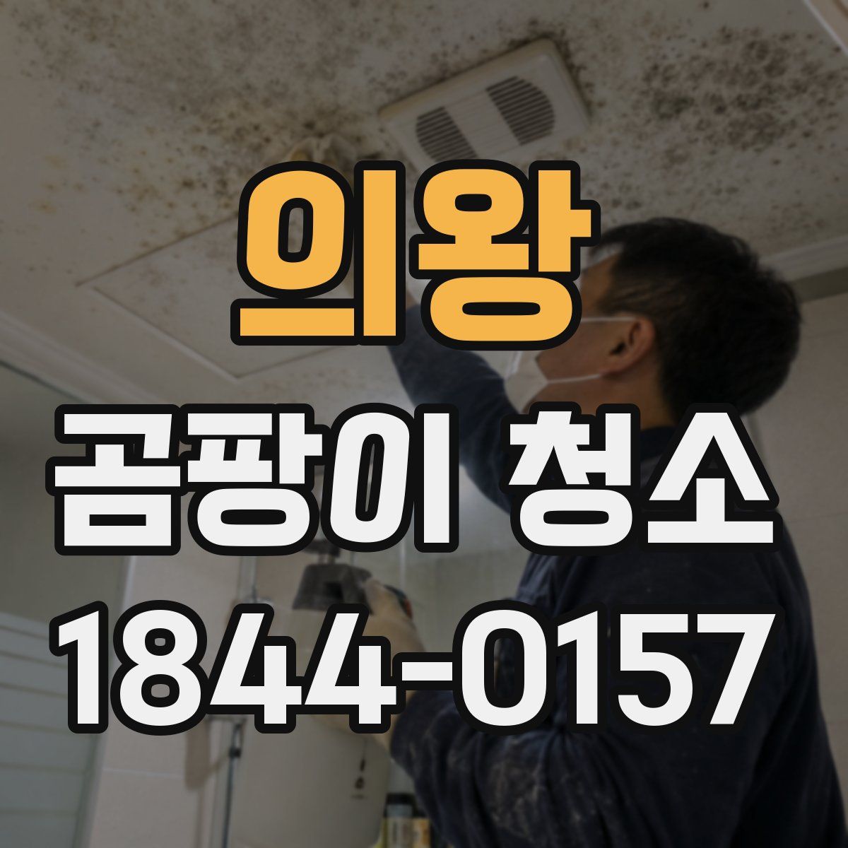 의왕 곰팡이 청소