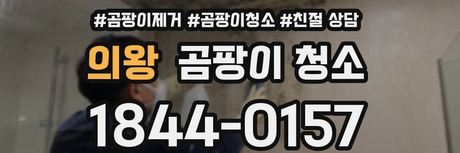 의왕 곰팡이 청소