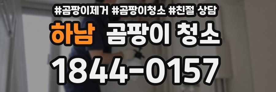 하남 곰팡이 청소