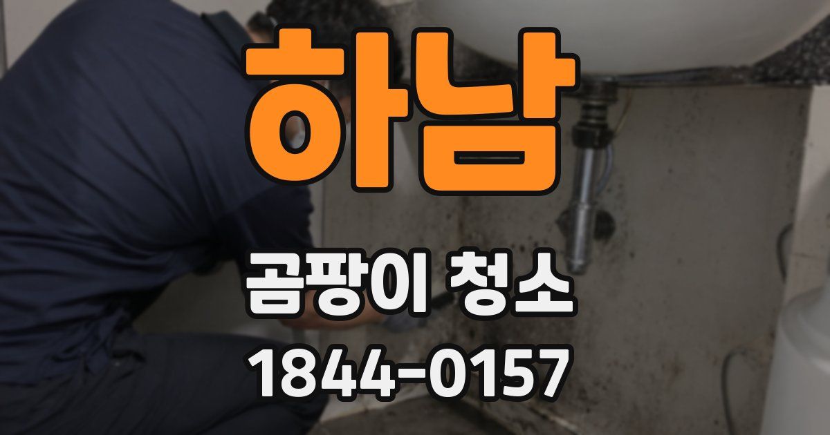 하남 곰팡이 청소