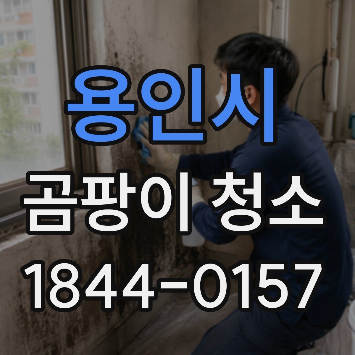 용인시 곰팡이 청소 작업 전 가구 보호가 필요한 이유