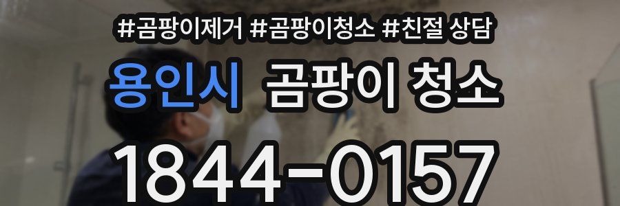용인시 곰팡이 청소