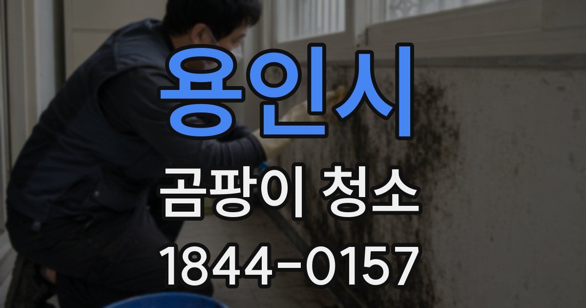 용인시 곰팡이 청소