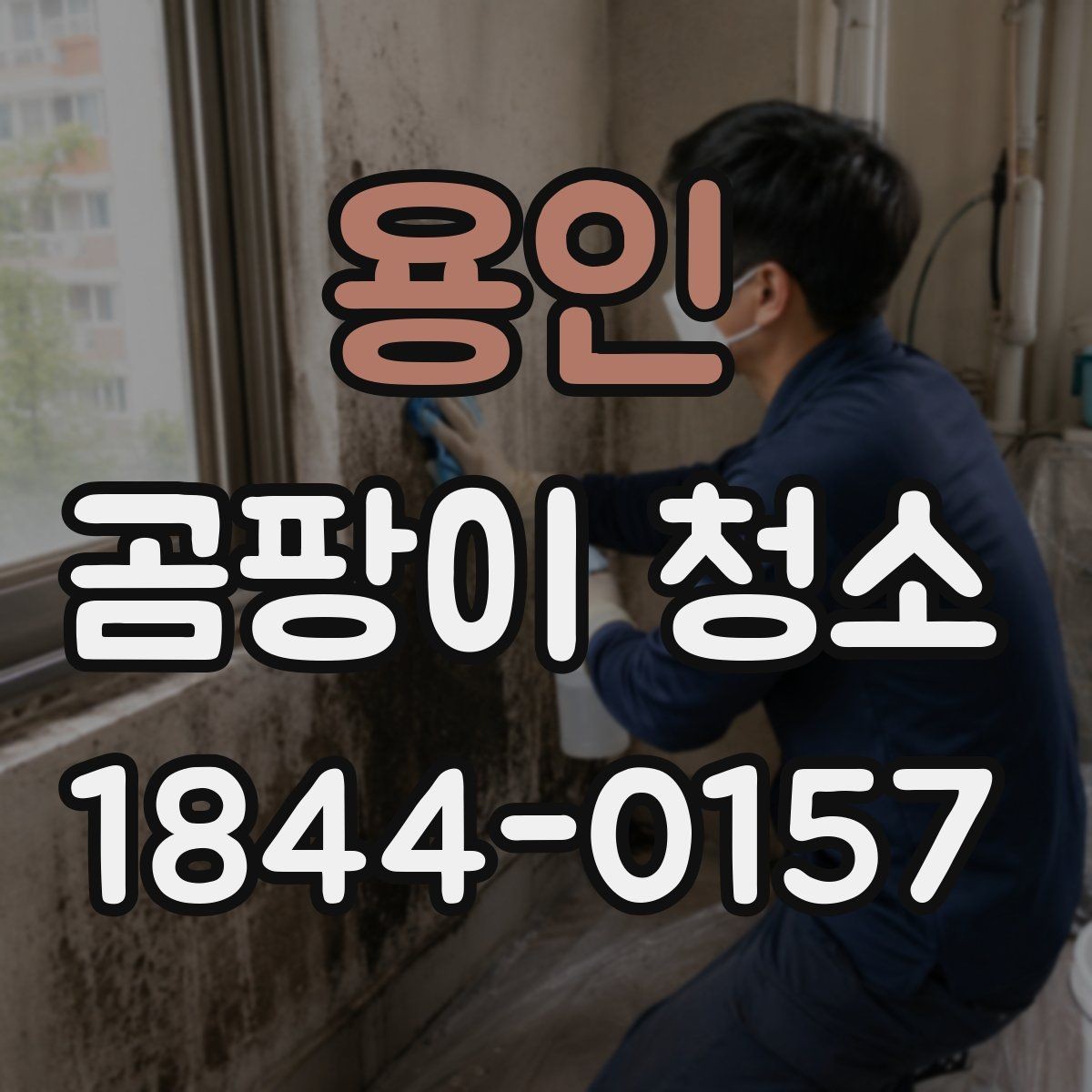 용인 곰팡이 청소 시 벽지 손상 줄이는 방법