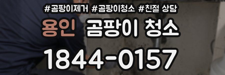 용인 곰팡이 청소