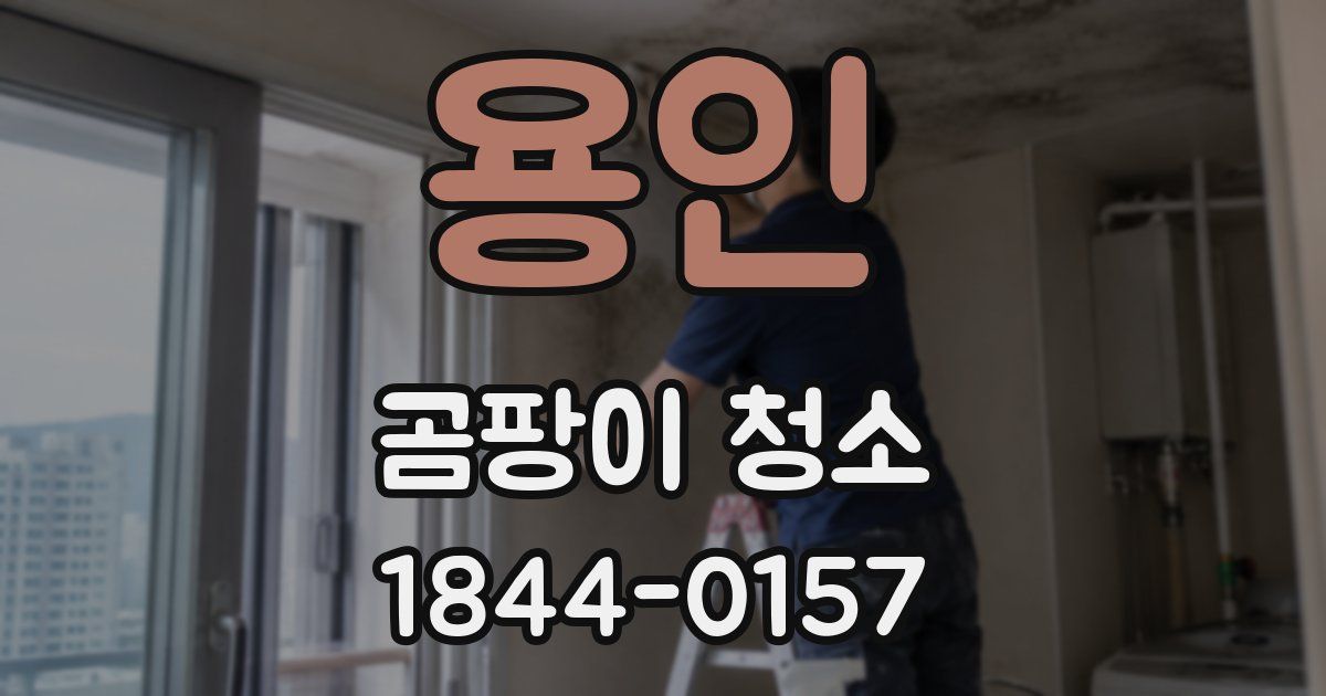 용인 곰팡이 청소