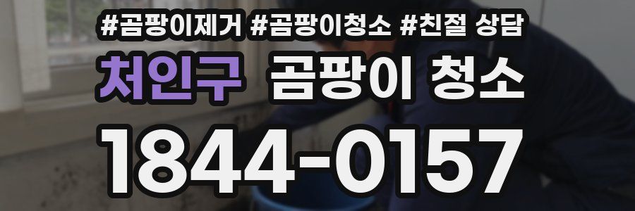 처인구 곰팡이 청소