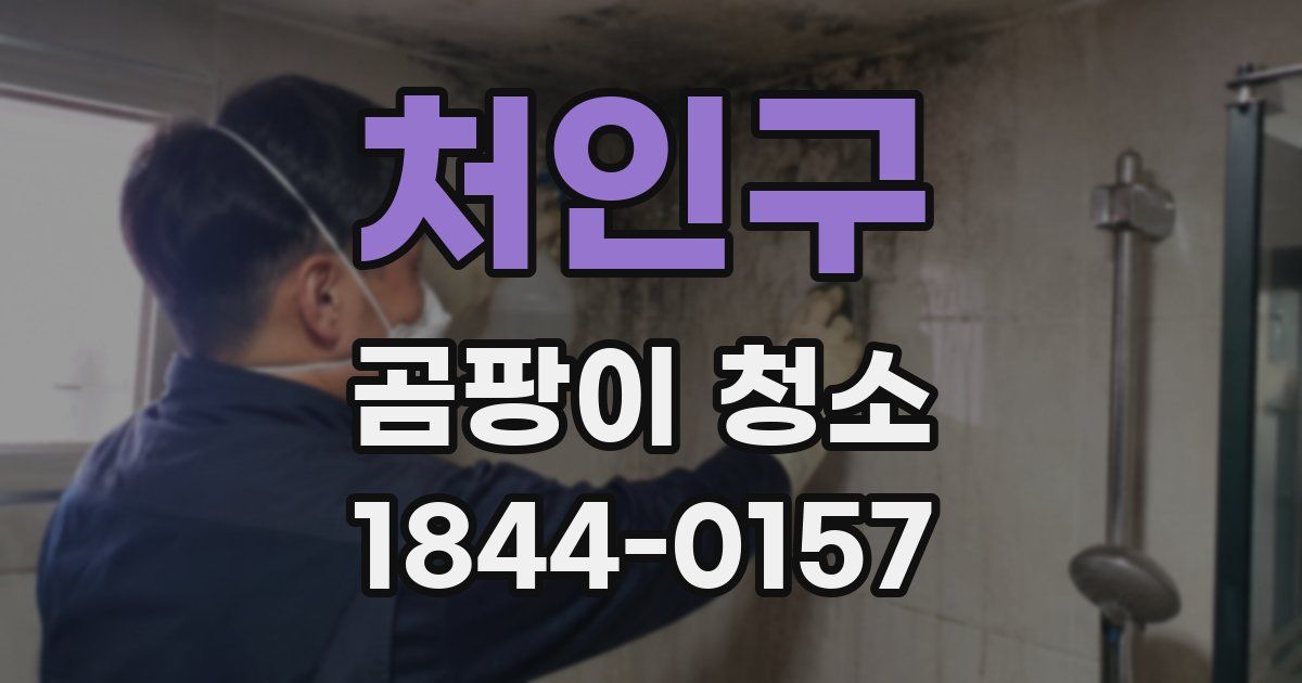 처인구 곰팡이 청소