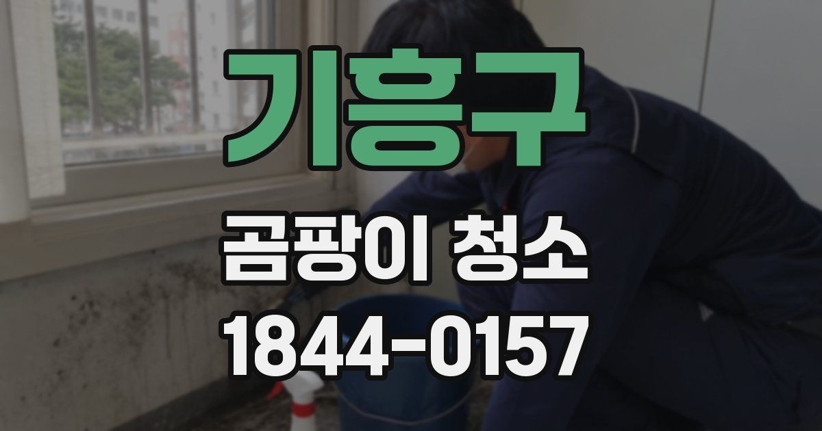 기흥구 곰팡이 청소