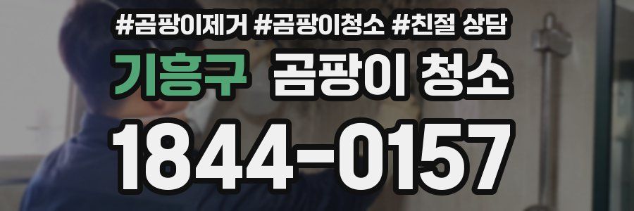 기흥구 곰팡이 청소