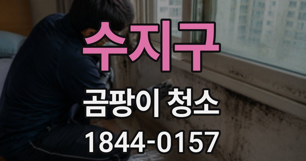 수지구 곰팡이 청소