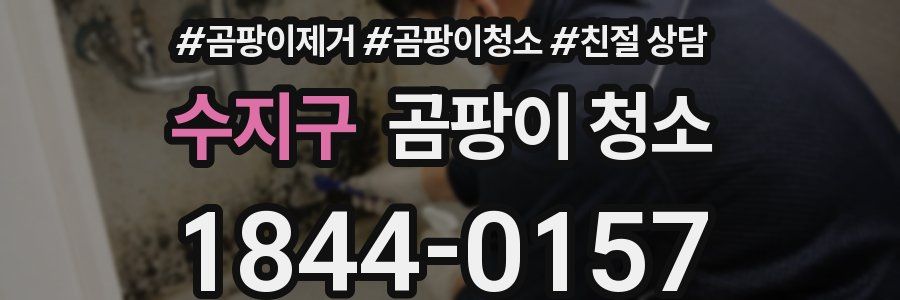 수지구 곰팡이 청소