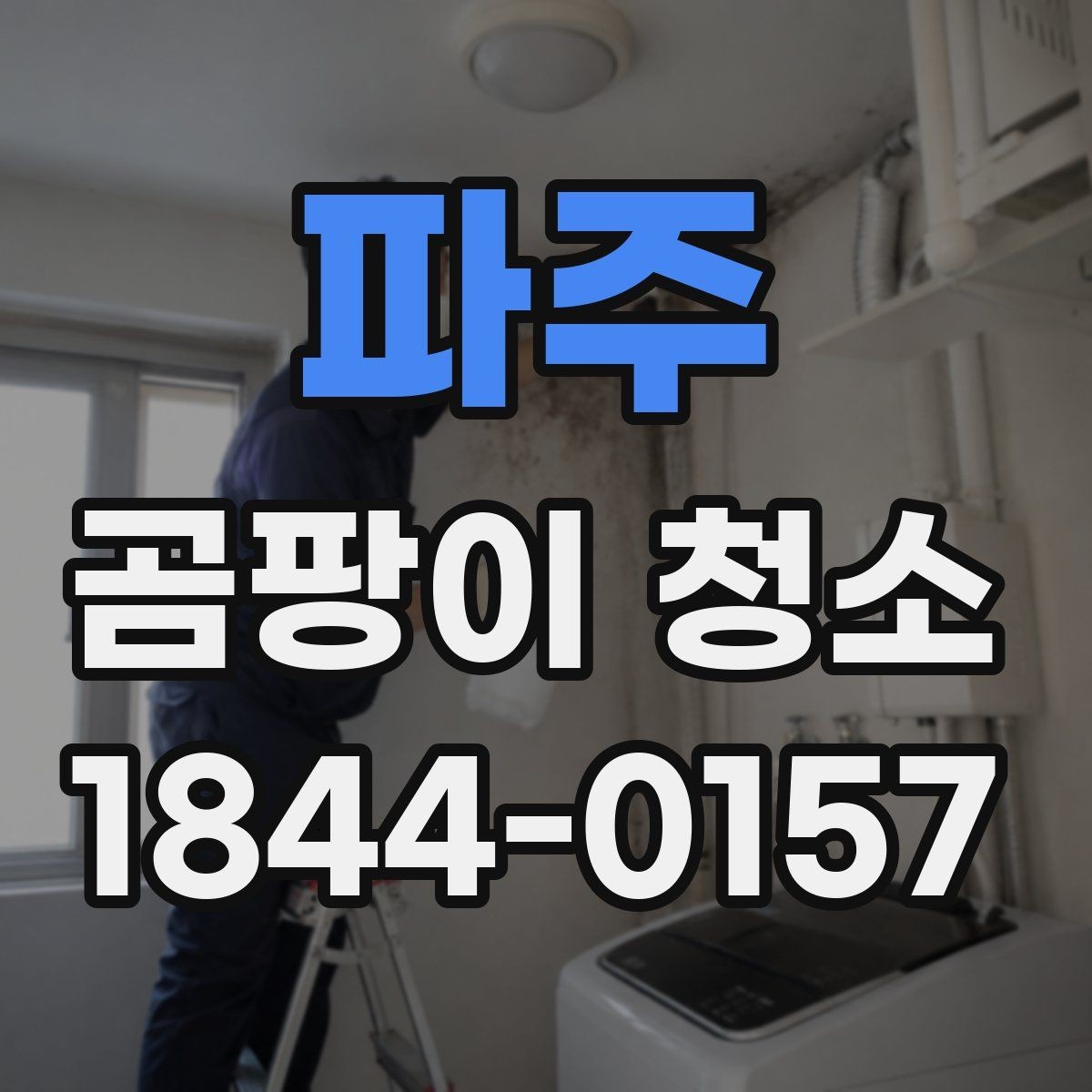 파주 곰팡이 청소 업체 상담 시 질문해야 할 내용