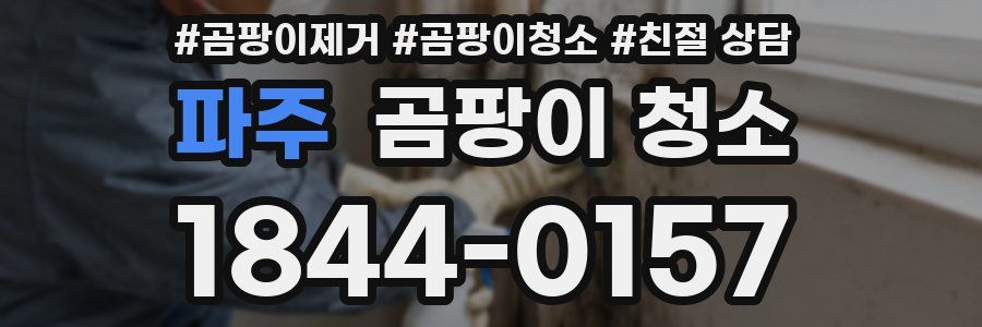 파주 곰팡이 청소