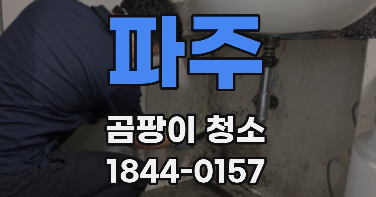 파주 곰팡이 청소