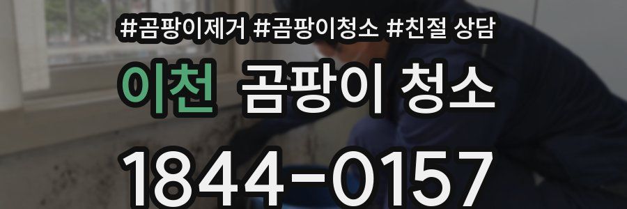 이천 곰팡이 청소