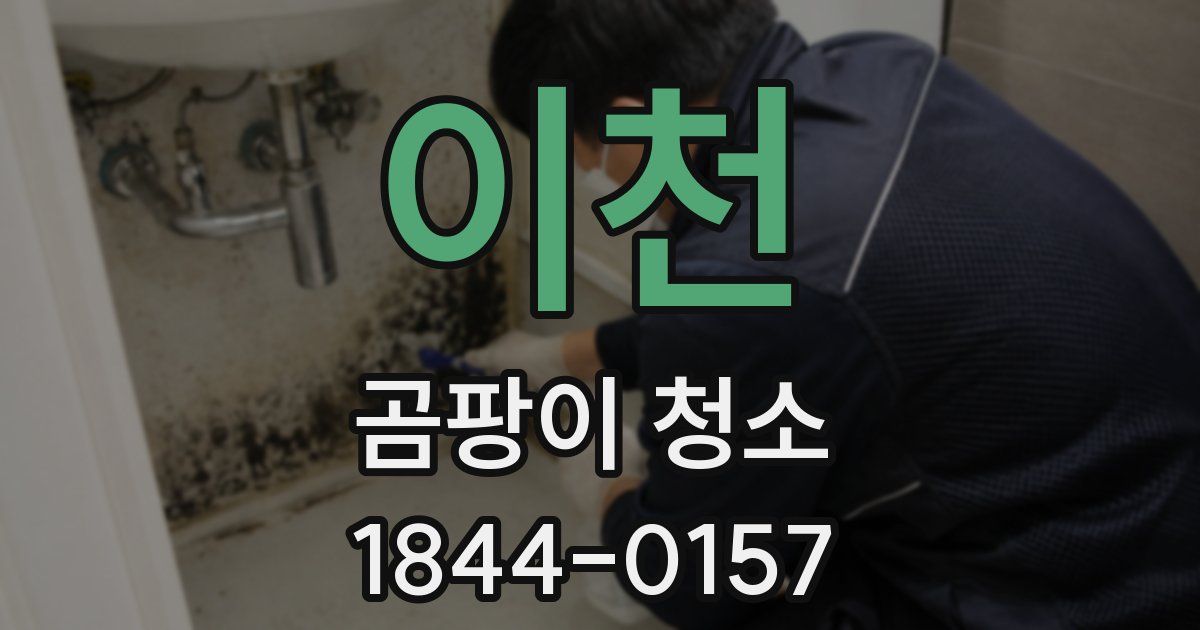이천 곰팡이 청소