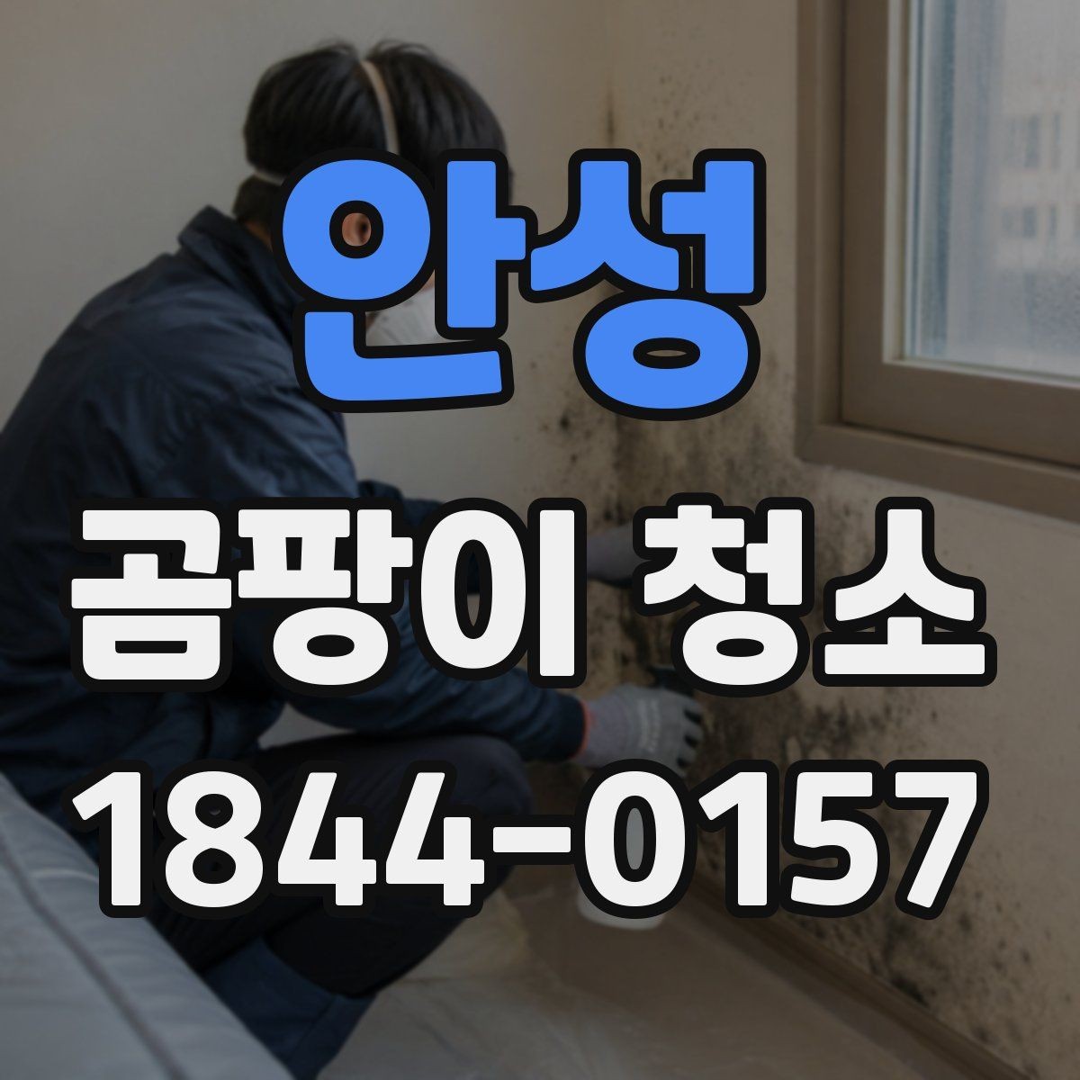 안성 곰팡이 청소 방법과 마무리 관리