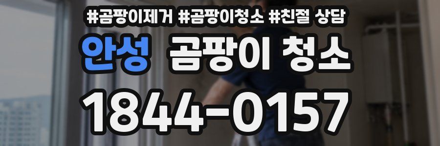 안성 곰팡이 청소