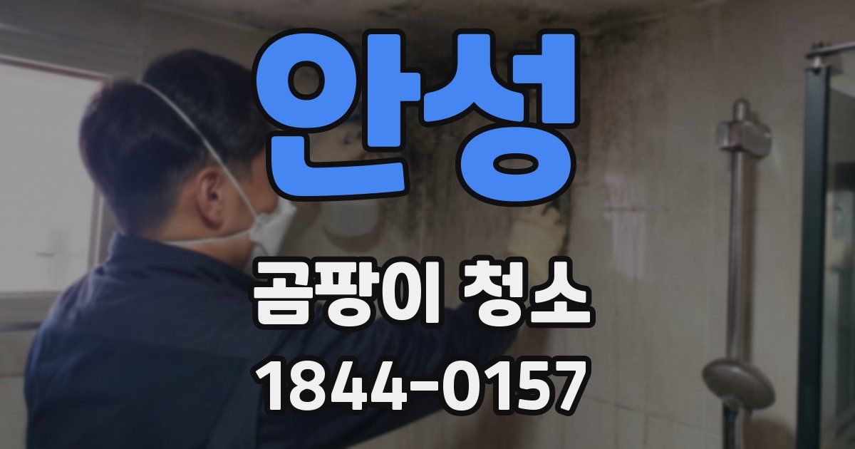 안성 곰팡이 청소
