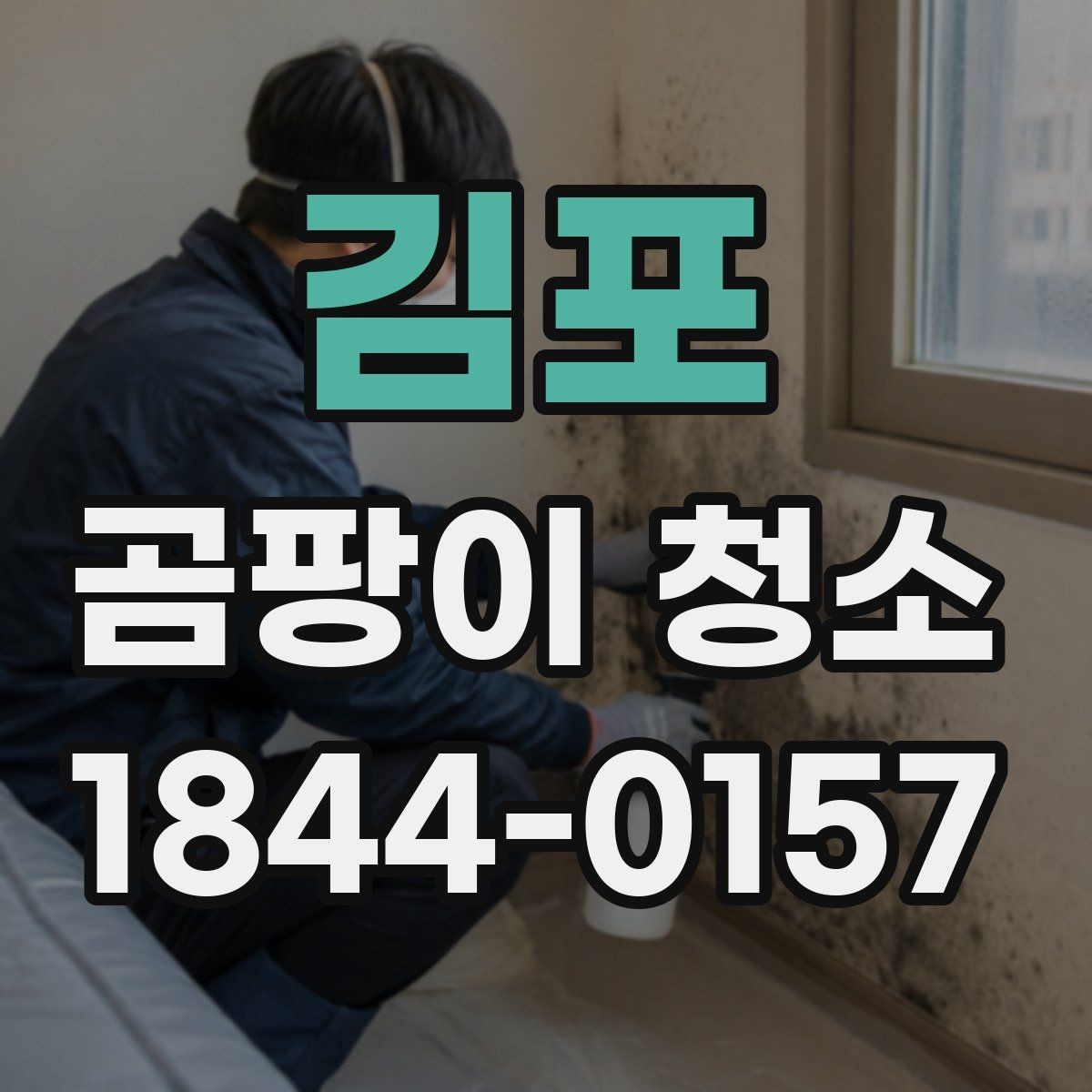 김포 곰팡이 청소 비용, 진행 전 알아둘 점