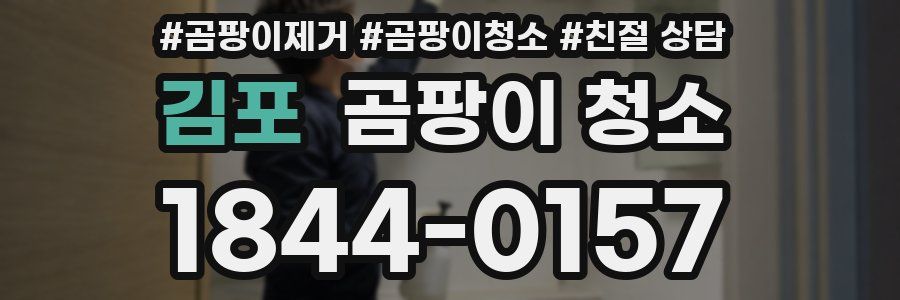 김포 곰팡이 청소
