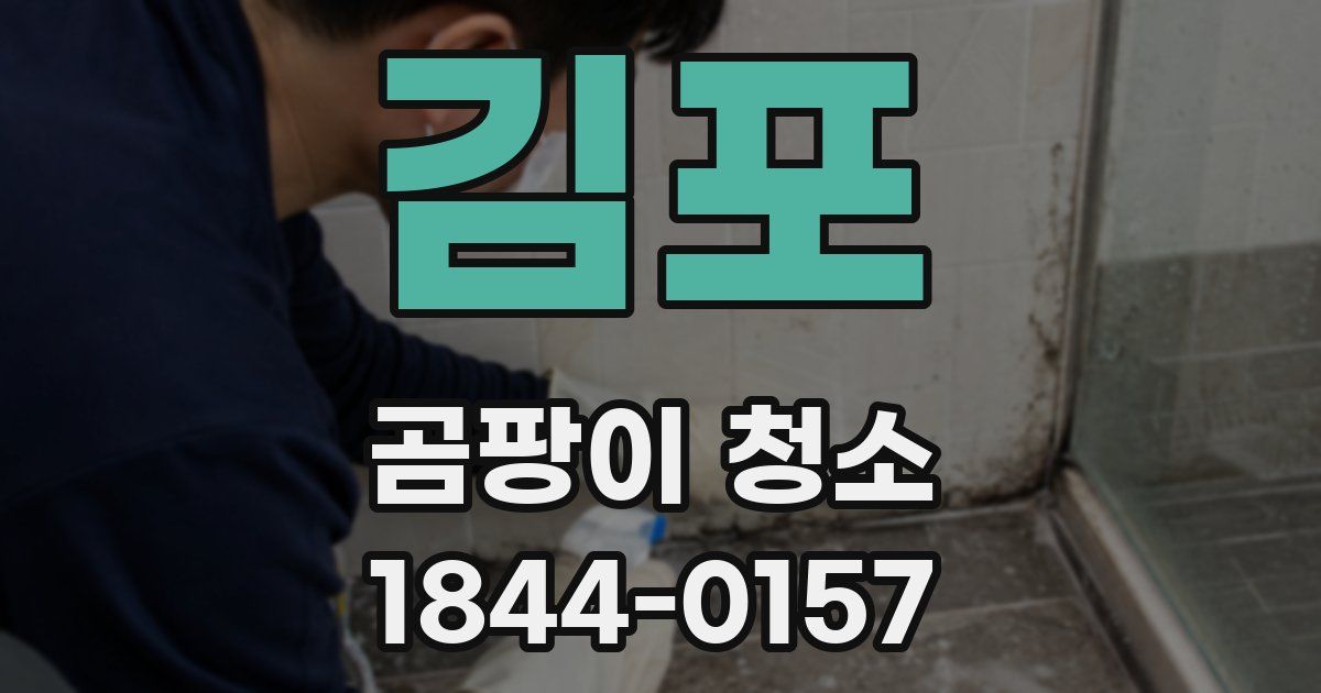 김포 곰팡이 청소