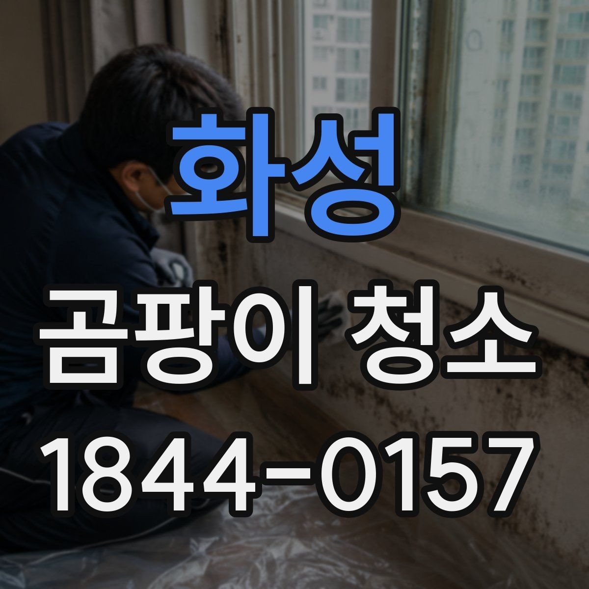 화성 곰팡이 청소 업체 선택할 때 보는 항목