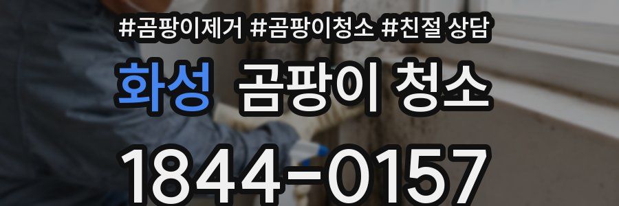 화성 곰팡이 청소