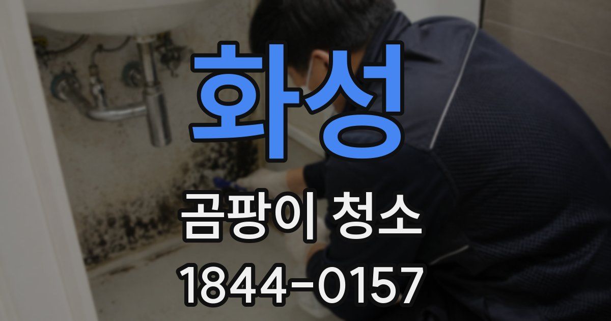 화성 곰팡이 청소