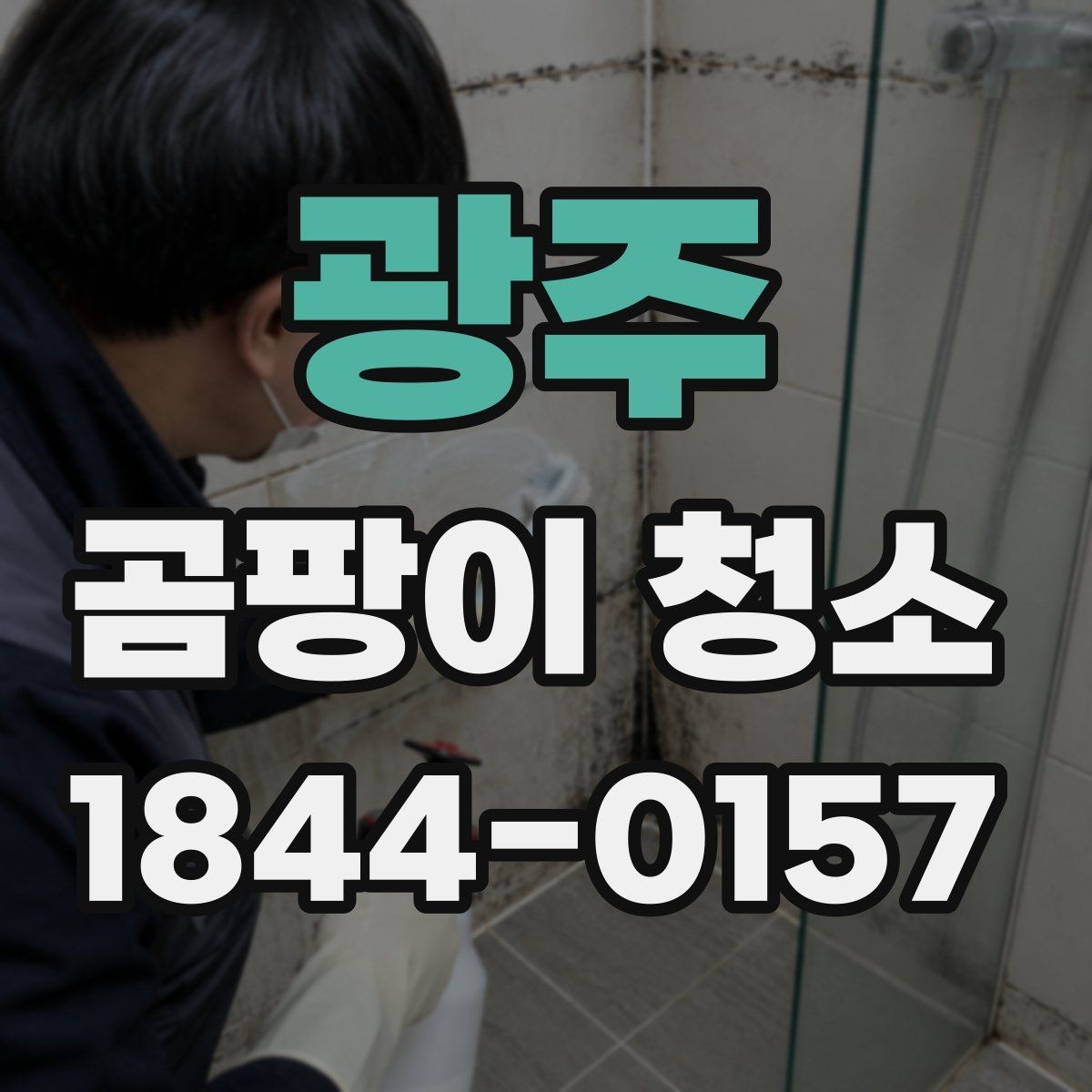 광주 곰팡이 청소 진행 전 사진 상담이 도움이 되는 경우