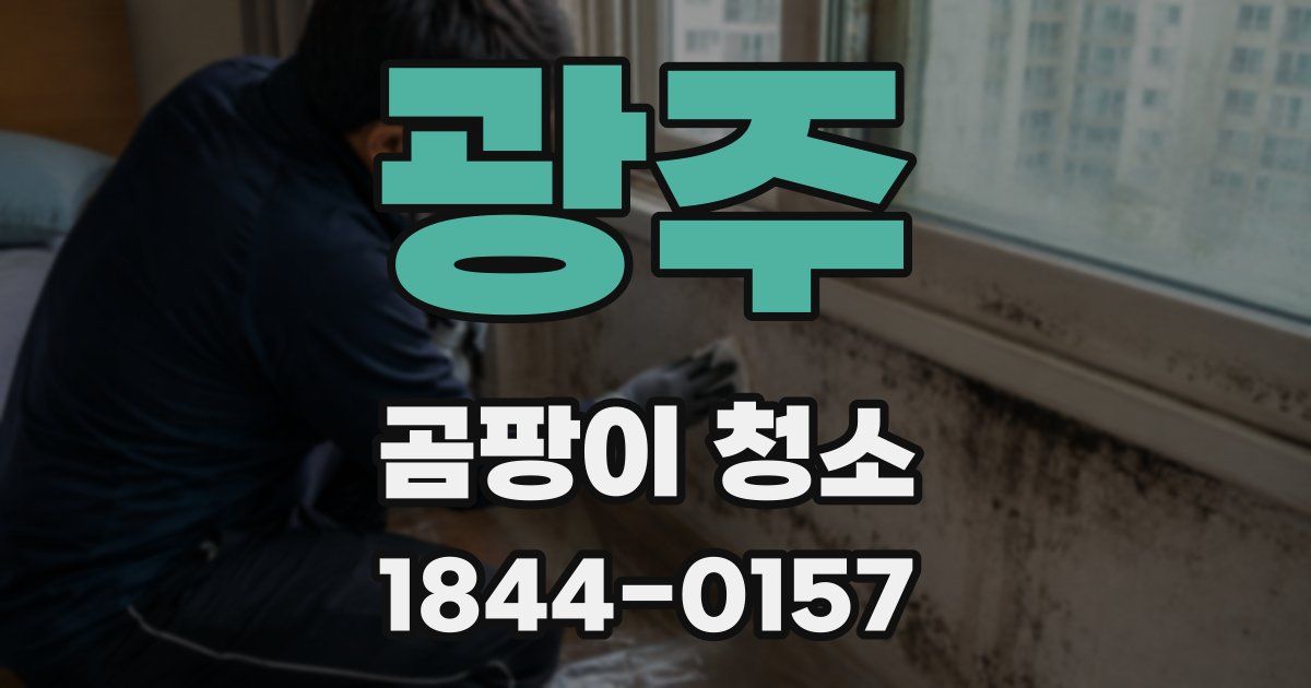 광주 곰팡이 청소