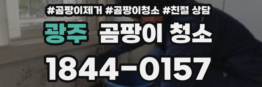 광주 곰팡이 청소